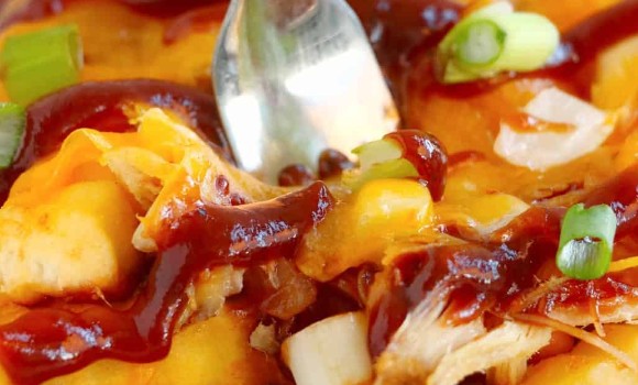 pulled pork loaded fries