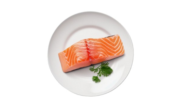 Salmon