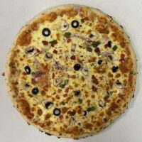 VEGE PIZZA REGULAR