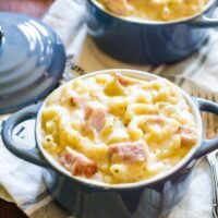 MACARONI CHEESE PASTA