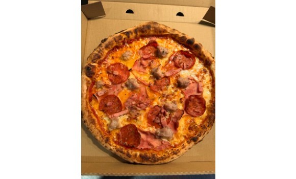 Carnivora