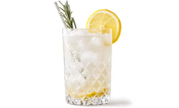 SPICED APPLE AND FIG GIN