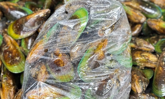 $10 MUSSEL BAG