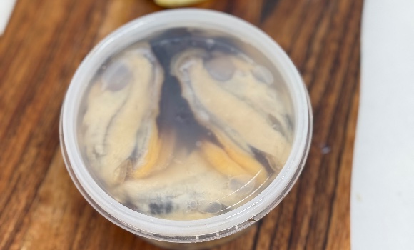 MUSSEL POTS